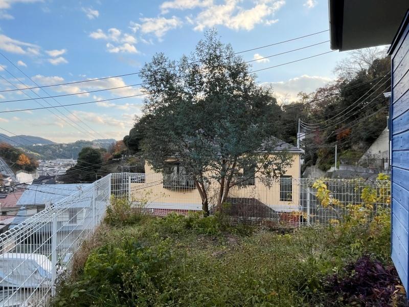 逗子市山の根三丁目の賃貸物件/庭│敷地の先端にはオリーブの木が植えられています