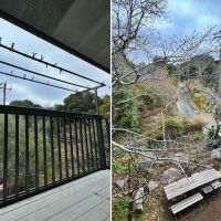 鎌倉市笛田五丁目の売買物件/左：2階のバルコニー｜右：2階から庭を見下ろす（この位置からの桜も良さそう）