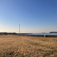 横須賀市長井の賃貸物件/近隣｜歩いて1分の海辺の公園には芝生が広がり、犬の散歩もちらほら。