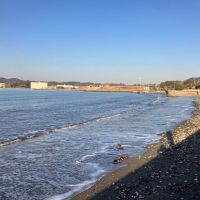 横須賀市長井の賃貸物件/近隣｜低めの防波堤から乗り出すと浜辺が見えますが、海水浴場ではありません。