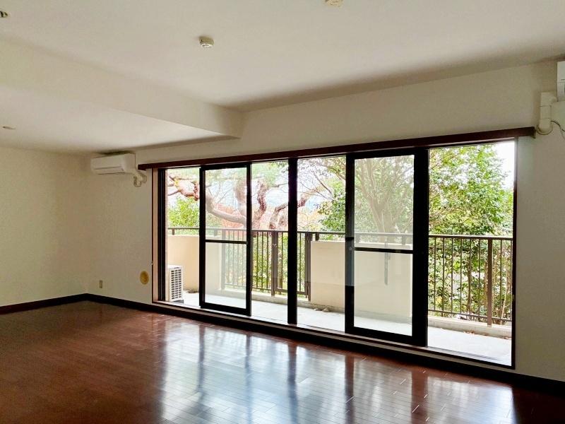 鎌倉市長谷三丁目の賃貸物件/LDK18.1帖│幹をくねらせながら、低く大きく枝を張った松の木が見えます