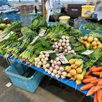 鎌倉市小町一丁目の賃貸物件/レンバイ内部｜色とりどりの野菜が並んでいます