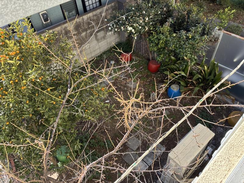 藤沢市辻堂東海岸三丁目の売買物件/2階から見た庭