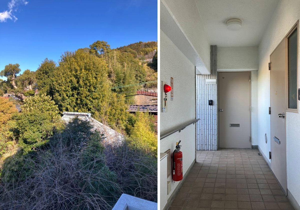 鎌倉市山ノ内の賃貸物件/周辺｜共用廊下｜共用階段からの風景は、もりもりしていました。