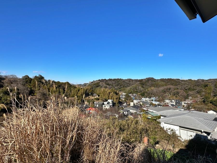 鎌倉市笛田六丁目の売買物件/リビングからの眺望｜季節によって表情を変えてくれそうな山並み