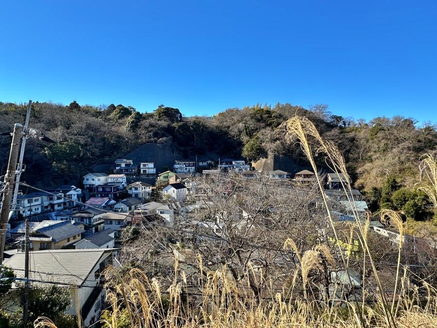 鎌倉市笛田六丁目の売買物件/リビングからの眺望｜手前のススキがいい感じ