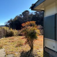 逗子市山の根二丁目の売買物件/庭｜玄関脇から中を通らず、直接庭に行けます。資材を庭に保管する場合はこちらが搬入ルートです