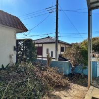 鎌倉市七里ガ浜東五丁目の売買物件/庭｜午後になれば日も差し込んでくるかと