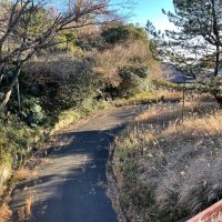 鎌倉市津西の売買物件/敷地への進入路はループ状になっています