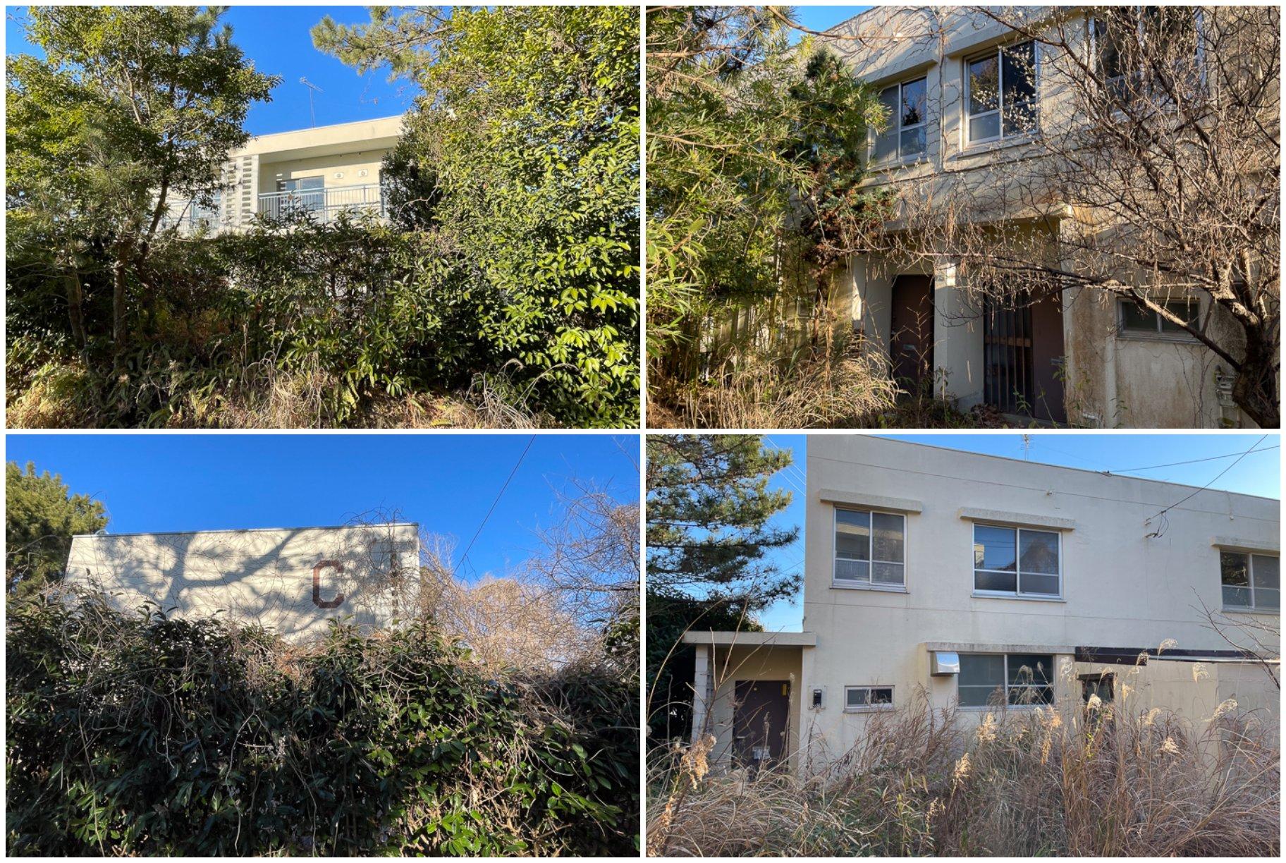 鎌倉市津西の売買物件/社員寮｜現在。樹木にうもれそう