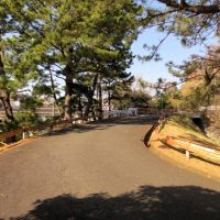 鎌倉市津西の売買物件