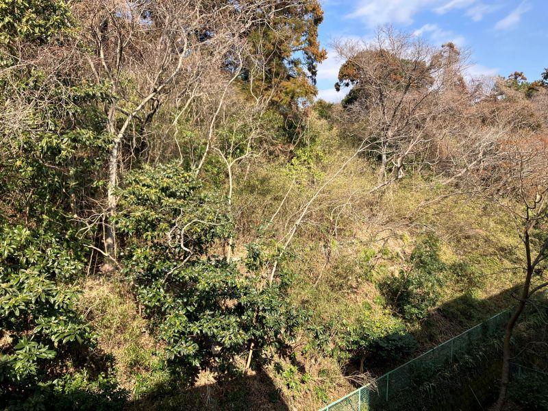 鎌倉市梶原五丁目の賃貸物件/眺望｜和室からは緑が見えます。