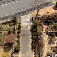 鎌倉市梶原五丁目の賃貸物件/周辺｜ベランダから見える1階の区画の庭。丁寧に整えられています。