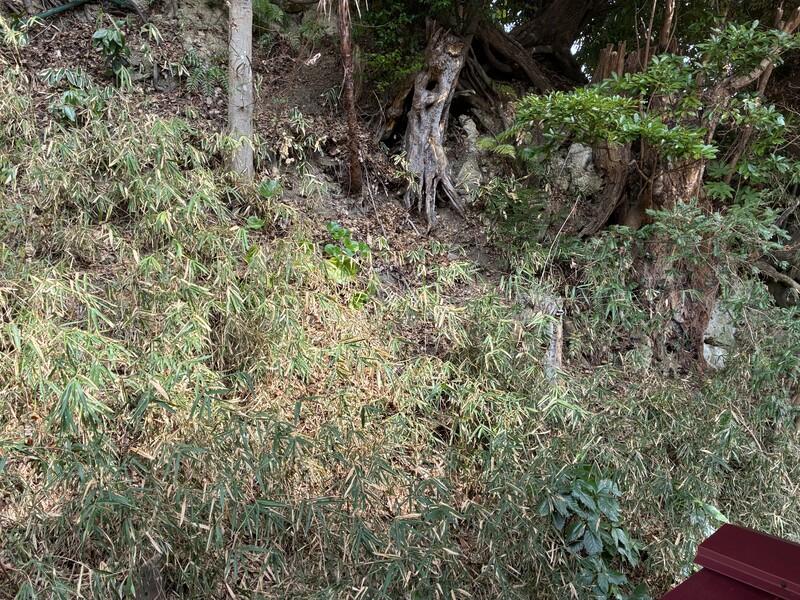 鎌倉市長谷五丁目の賃貸物件/2階の洋室から、裏の山を見てみます