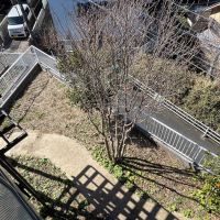 鎌倉市大船の売買物件/２階バルコニーから庭の眺め