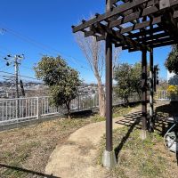 鎌倉市大船の売買物件/庭とパーゴラ