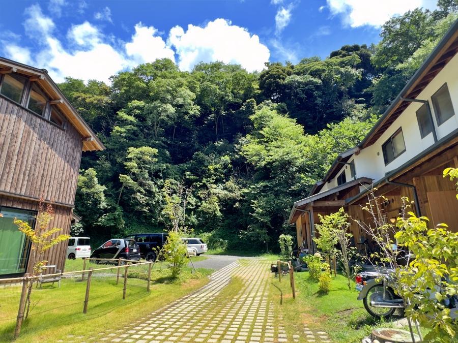 鎌倉市西御門一丁目の賃貸物件/敷地内の様子（夏に撮影）｜山がすぐそこなので、これでもかという緑