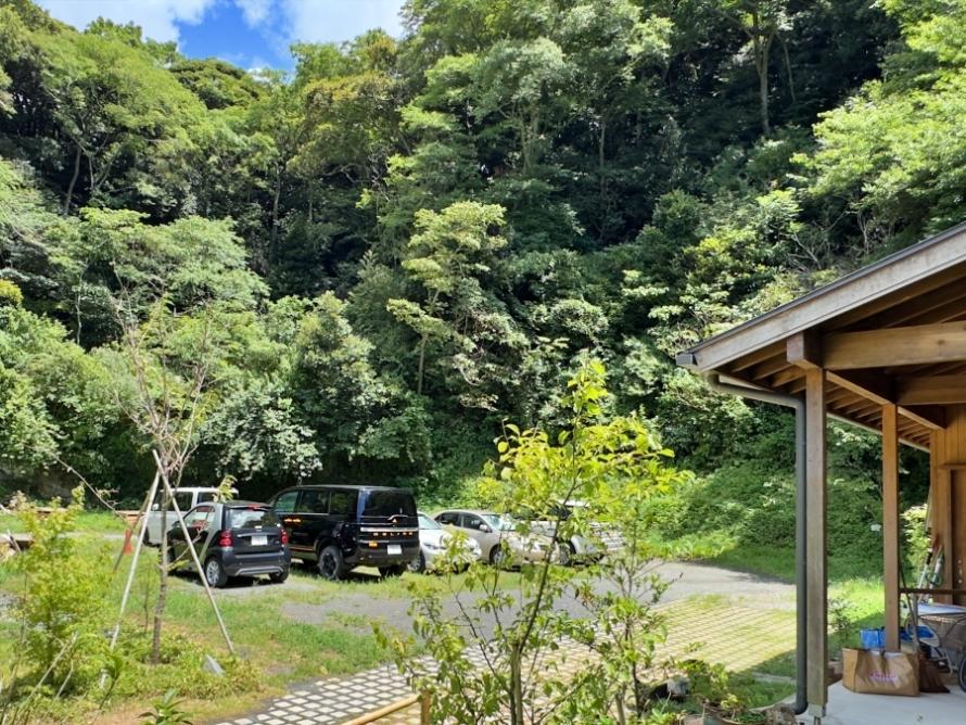 鎌倉市西御門一丁目の賃貸物件/敷地内の様子（夏に撮影）｜色んな楽しいことを形にしてください