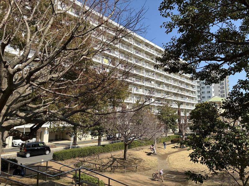 藤沢市鵠沼東の売買物件/奥田公園から見たマンションの外観