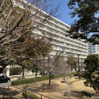 藤沢市鵠沼東の売買物件/奥田公園から見たマンションの外観