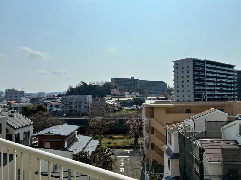 藤沢市鵠沼東の売買物件/川沿いの遊歩道に桜が咲いているのも見ることができます