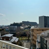 藤沢市鵠沼東の売買物件/川沿いの遊歩道に桜が咲いているのも見ることができます