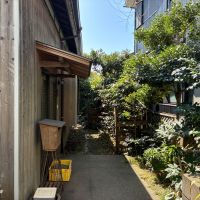 三浦郡葉山町一色の賃貸物件/アプローチ｜玄関まわりも緑が生い茂り良い雰囲気