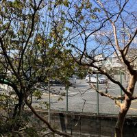 三浦郡葉山町堀内の賃貸物件/眺望｜西側の窓からはスーパーマーケットの駐車場ビュー。