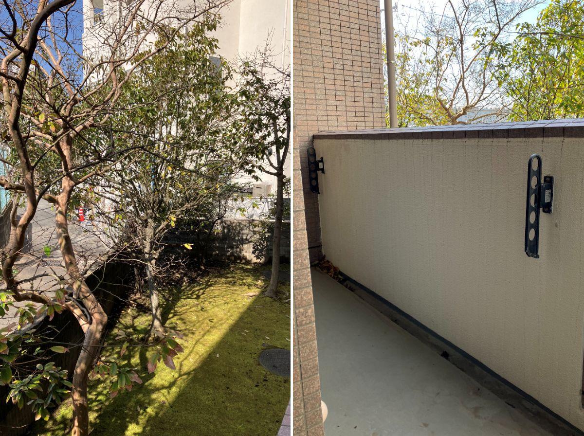 三浦郡葉山町堀内の賃貸物件/庭｜ベランダ