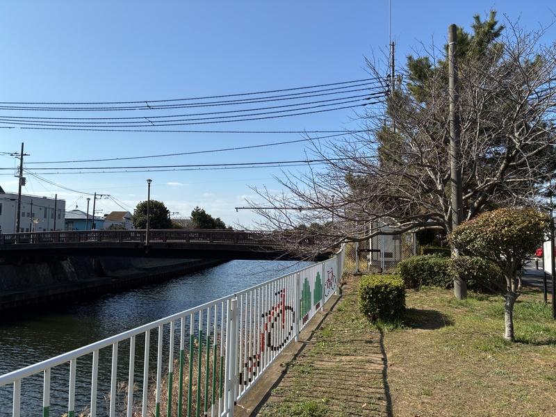 藤沢市辻堂太平台二丁目の売買物件/周辺｜川沿いの遊歩道。春には桜が咲きます。