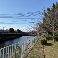 藤沢市辻堂太平台二丁目の売買物件/周辺｜川沿いの遊歩道。春には桜が咲きます。