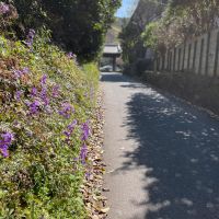 鎌倉市二階堂の売買物件/この細い道の先