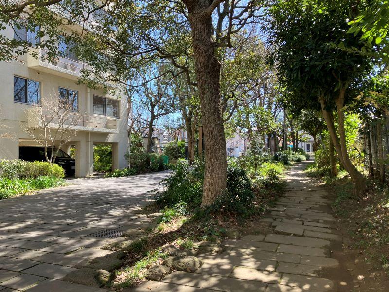 平塚市唐ケ原の売買物件/アプローチ｜石張りの舗装に木漏れ日が美しいです。