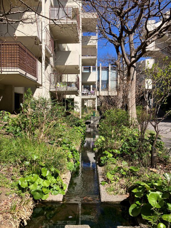 平塚市唐ケ原の売買物件/外構｜敷地内には穏やかに水が流れています。