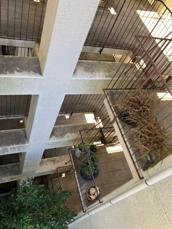 平塚市唐ケ原の売買物件/共用部｜構造体はグリット状になっていて、繊細な手摺が張り巡らされています。