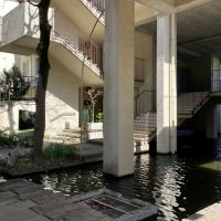 平塚市唐ケ原の売買物件/外構｜大き目の水盤もあります。