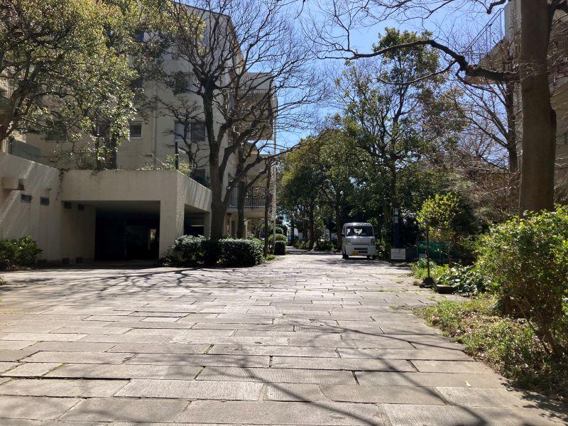 平塚市唐ケ原の売買物件/外構｜棟間はゆったりしており、豊かな植栽に彩られています。