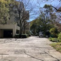 平塚市唐ケ原の売買物件/外構｜棟間はゆったりしており、豊かな植栽に彩られています。