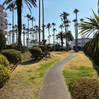 逗子市小坪五丁目の売買物件/天気の良い日に中庭を散歩するのが気持ちよい