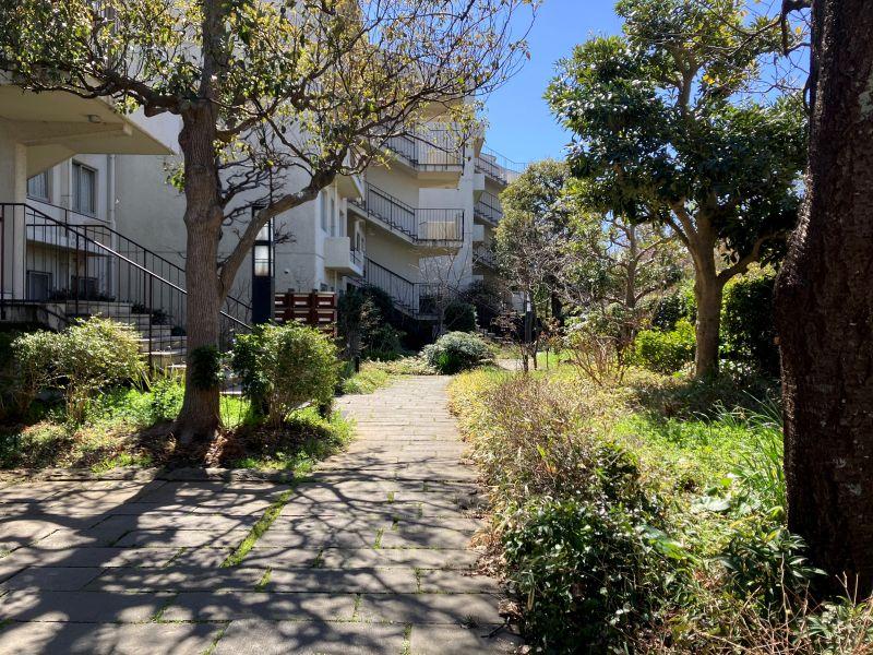 平塚市唐ケ原の売買物件/共用部｜駐車場とは反対側に階段へのアプローチがあります。緑豊かで裏道感があってとても良い。