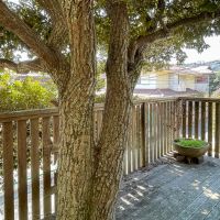 鎌倉市長谷一丁目の売買物件/ウッドデッキ。シンボルツリーは大きくなり過ぎているので強めに剪定が必要です
