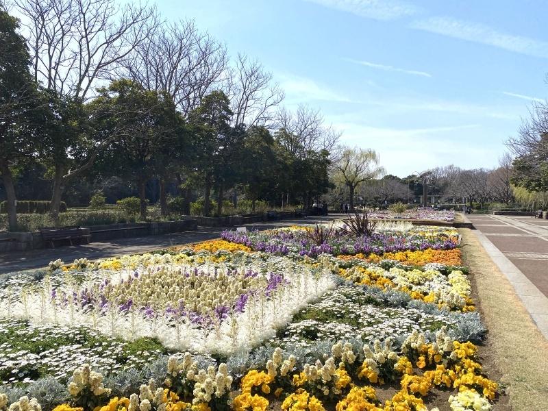 藤沢市本鵠沼四丁目の賃貸物件/周辺環境│長久保公園都市緑化植物園