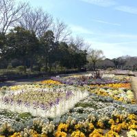 藤沢市本鵠沼四丁目の賃貸物件/周辺環境│長久保公園都市緑化植物園