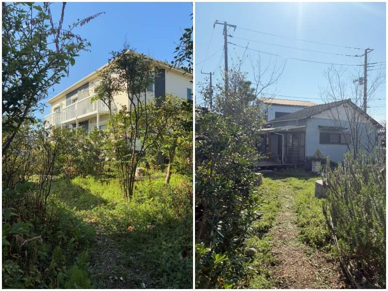 藤沢市辻堂元町三丁目の賃貸物件/敷地内の植栽は、もともと伐採予定だった樹木をレスキューしてきました。地面は微生物の力で整えられていて、ふかふかとやわらかい踏み心地です