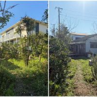 藤沢市辻堂元町三丁目の賃貸物件/敷地内の植栽は、もともと伐採予定だった樹木をレスキューしてきました。地面は微生物の力で整えられていて、ふかふかとやわらかい踏み心地です