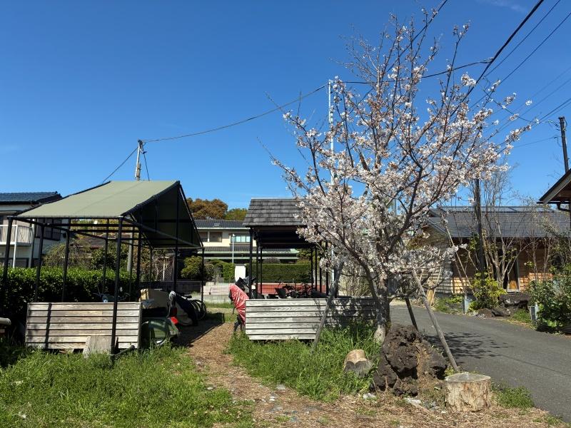 藤沢市辻堂元町三丁目の賃貸物件/共用部の駐輪場。手前に駐車場があります
