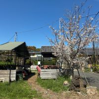 藤沢市辻堂元町三丁目の賃貸物件/共用部の駐輪場。手前に駐車場があります