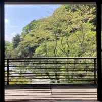 鎌倉市浄明寺四丁目の売買物件/眺望｜2階洋室から。