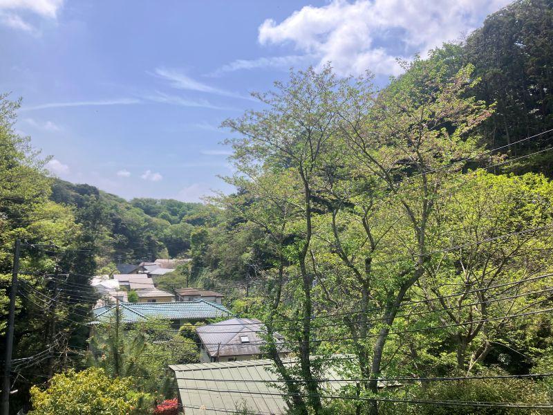 鎌倉市浄明寺四丁目の売買物件/眺望｜高台なので、谷戸を見渡せます。緑の多さを感じてください。