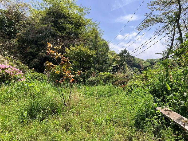 鎌倉市浄明寺四丁目の売買物件/庭｜道路レベルから上がった庭なので、周囲の目線も気になりません。